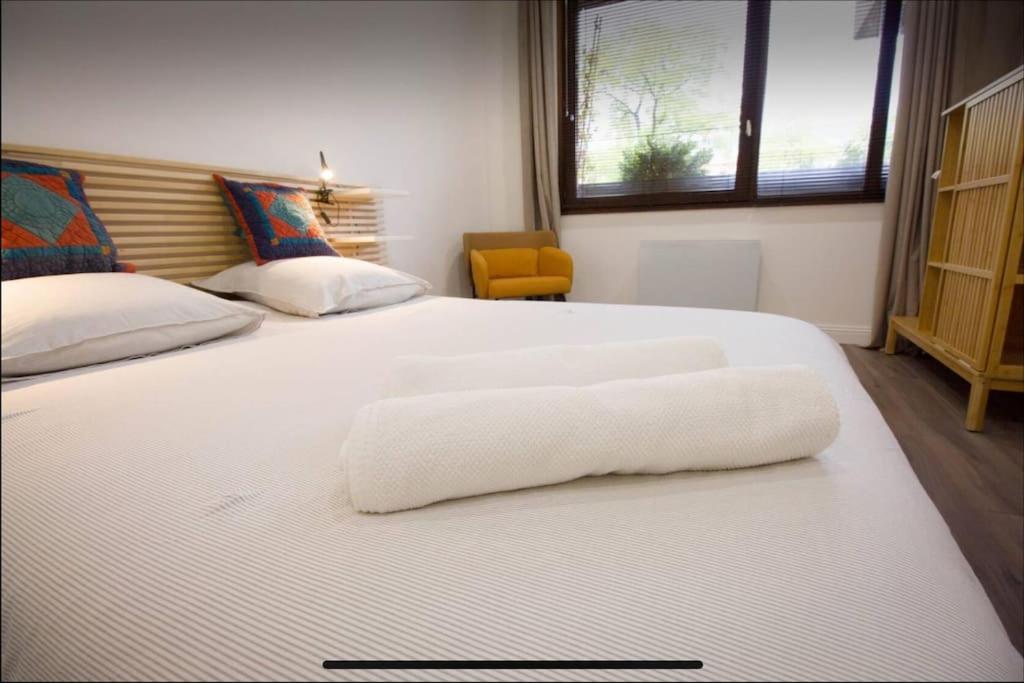 Superbe Appartement En Plein Coeur De Metz. Exteriör bild
